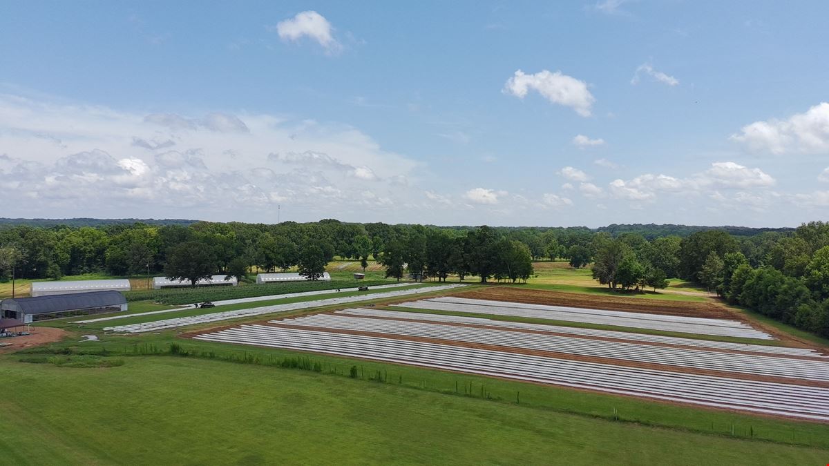 +/- 14.1 ac. Flora, MS