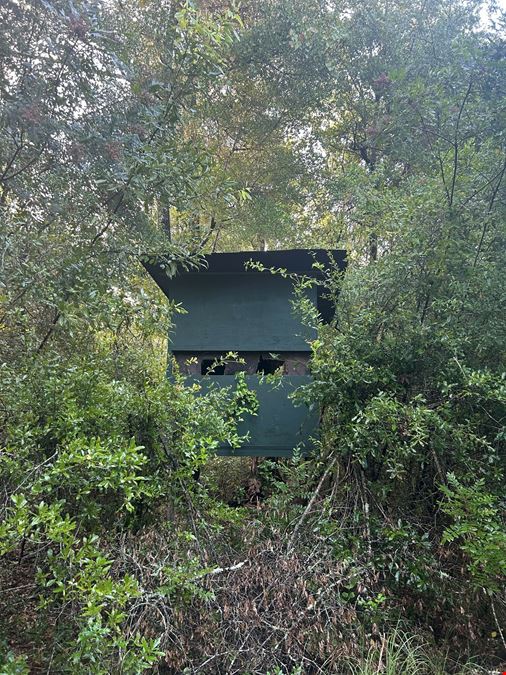 Fort White 58.7 Acres