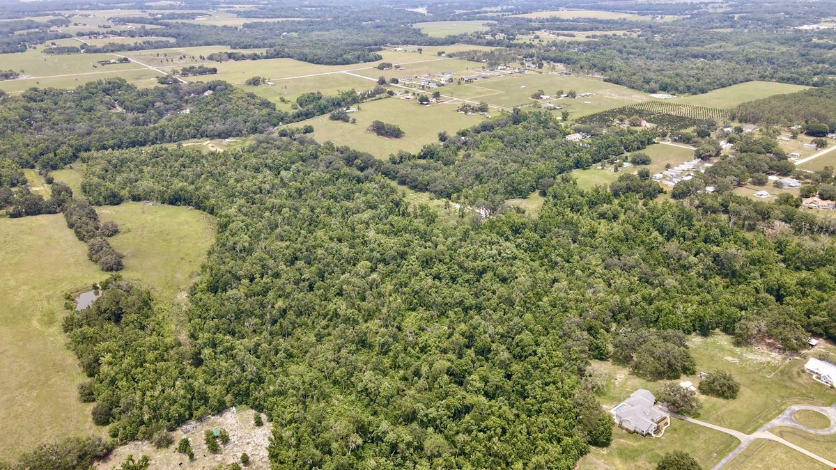 Curley Road Ranch