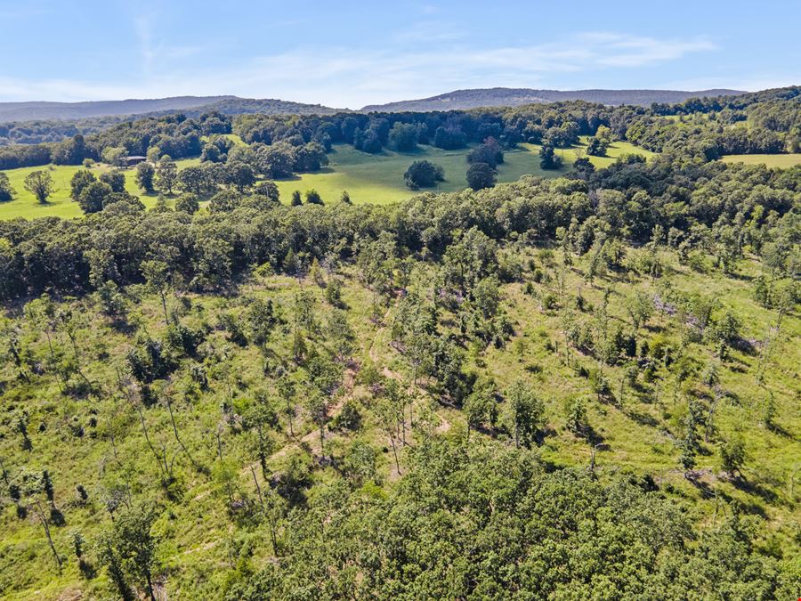 Letitia Lane - Greenland Acreage