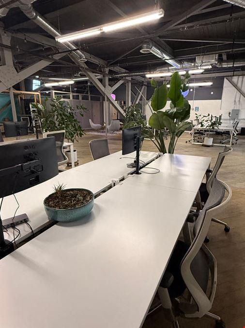 Cowork + Connect