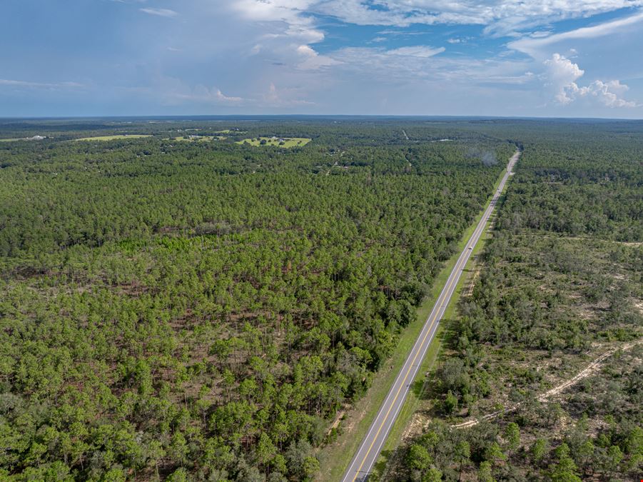 Floral City 205 Acres