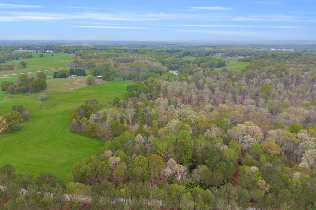 24+/- ACRES LAND FOR SALE MADISON COUNTY