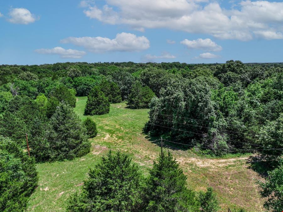Land for Sale in Wills Point