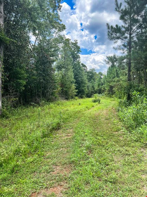 Upper River Woods