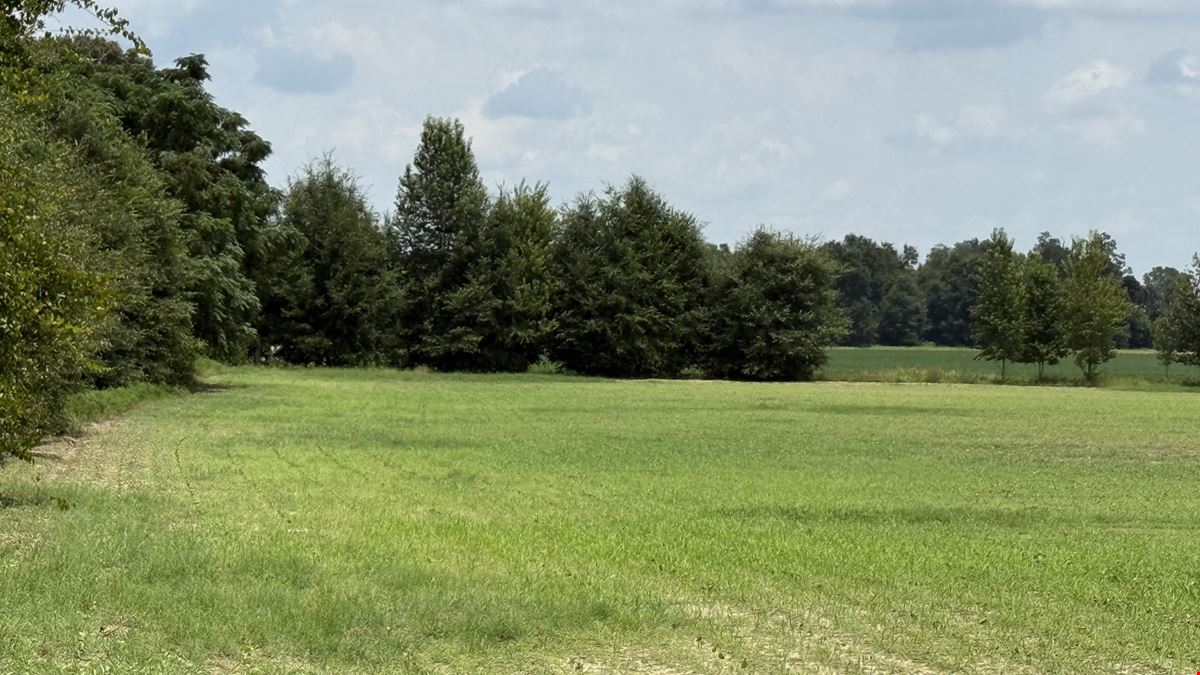 19± Acres in Bascom, FL – Ideal Homesite or Hobby Farm