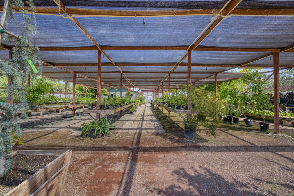 Nottingham Nursery