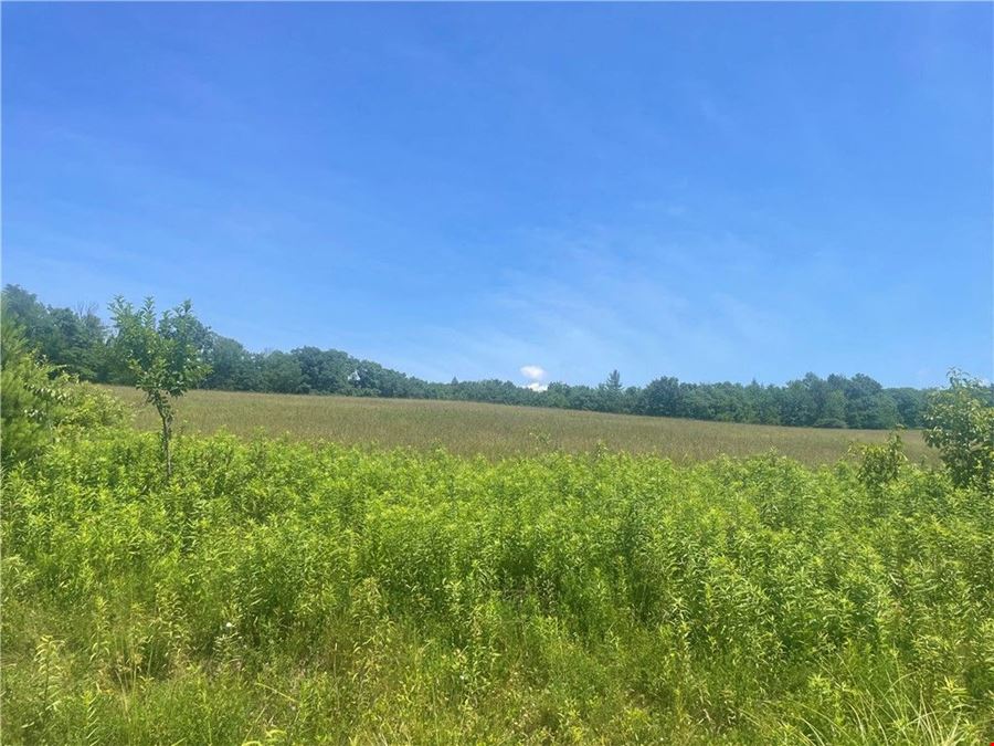 Schlafer Rd