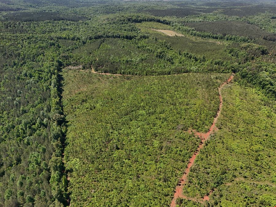 Longleaf Ridge
