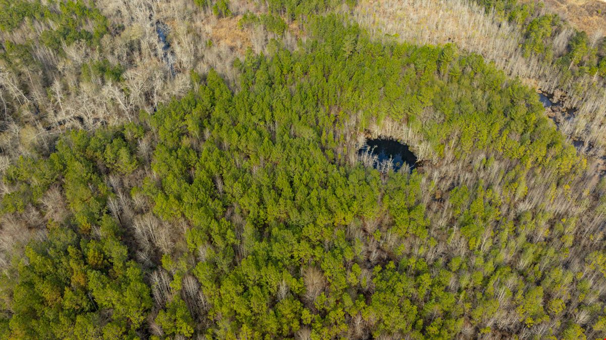 Telfair Tract 1