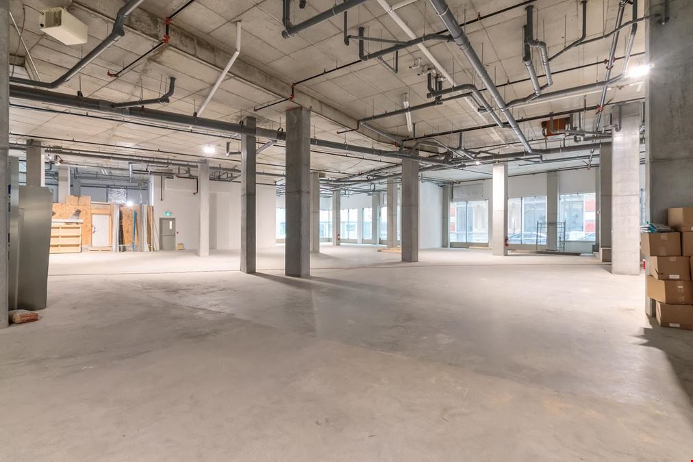 227 Rue de l'Hôpital #237