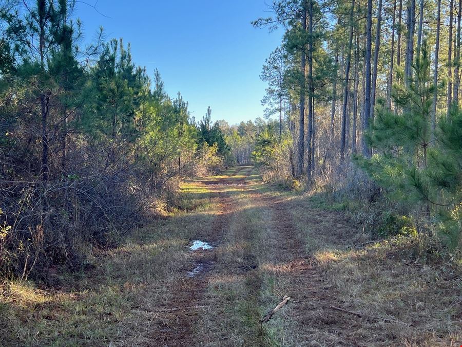 Lily Pad Ranch 1,472± Acres in Northwest Florida – Premier Recreational & Timber Investment Tract