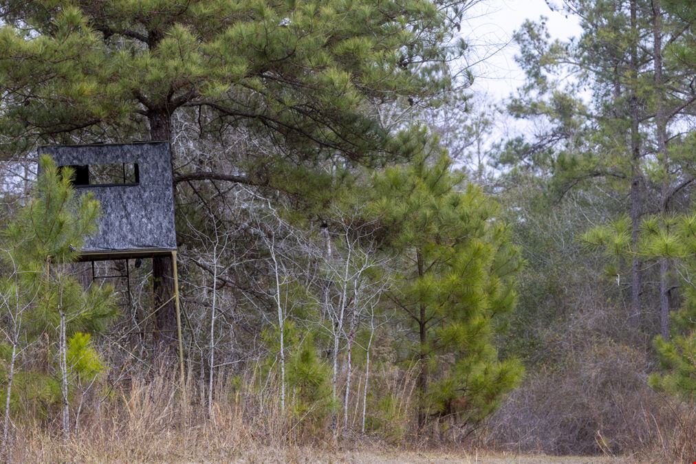 Telfair Tract 1