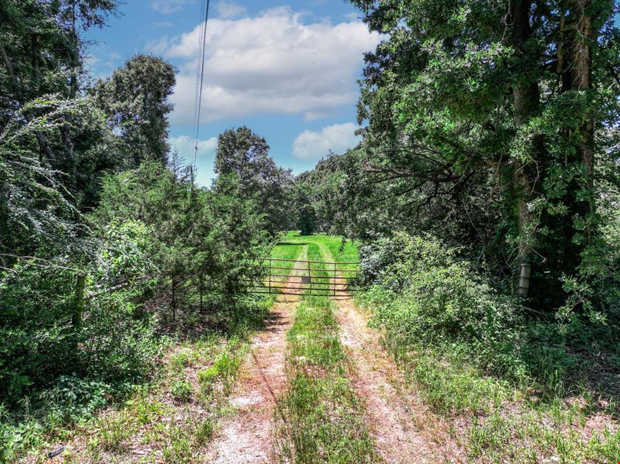 Land for Sale in Wills Point