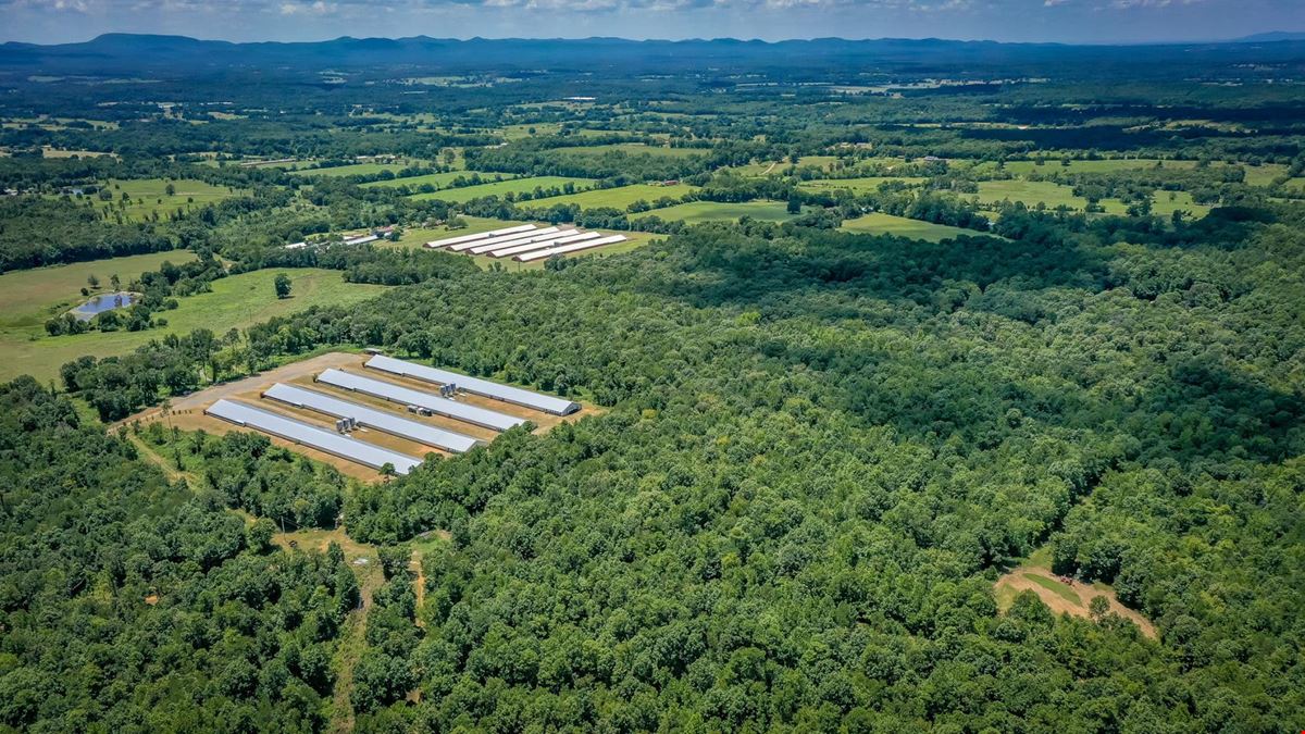 Mena AR Broiler Chicken Farm