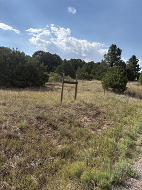 11 Eagle Ln