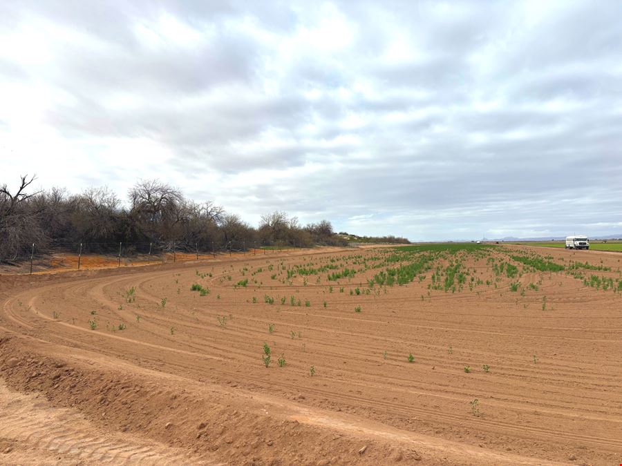 68.9 Acres with Farm Land - Avenue 43 E