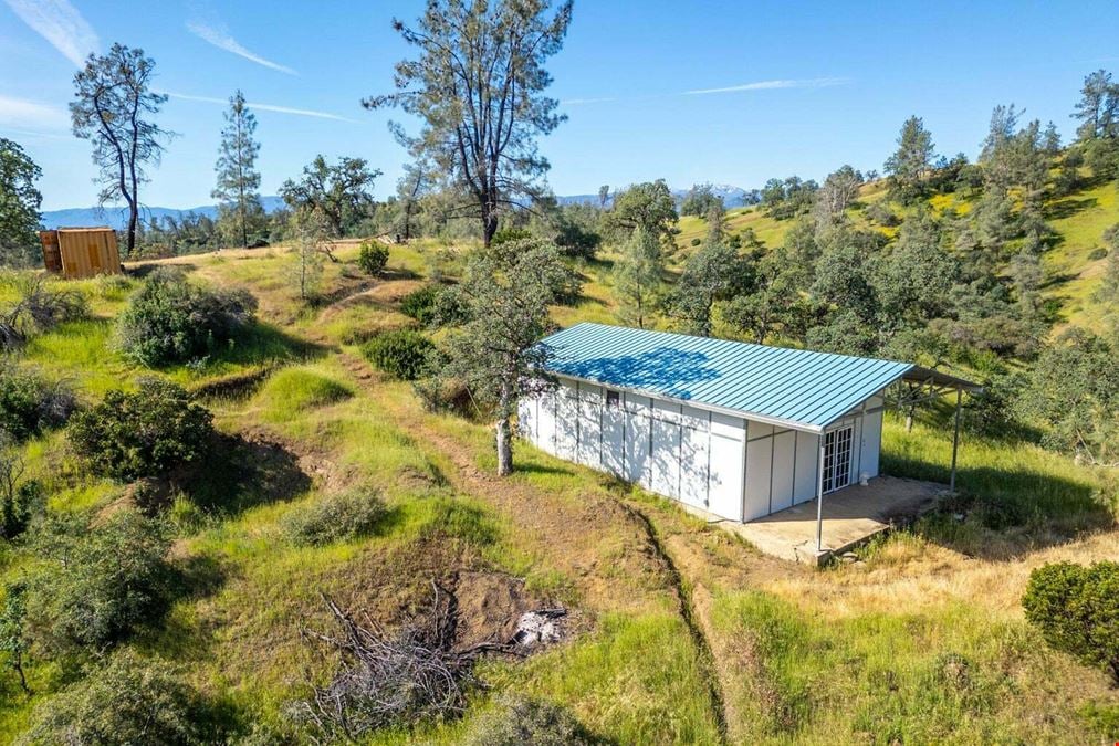 ±20 Acres of Level Land in Igo, CA