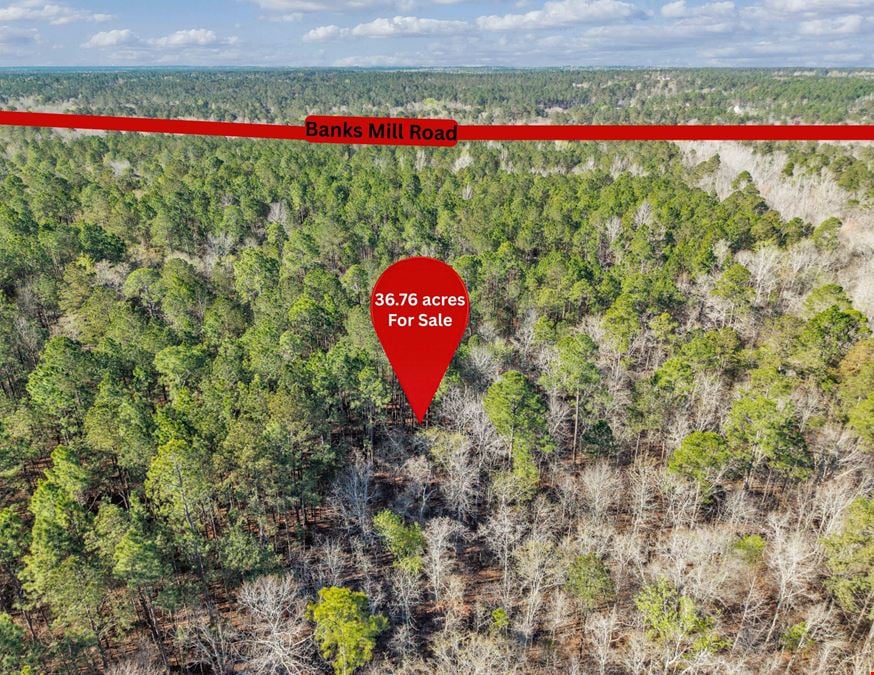 Banks Mill Rd SE (36.76 acres)