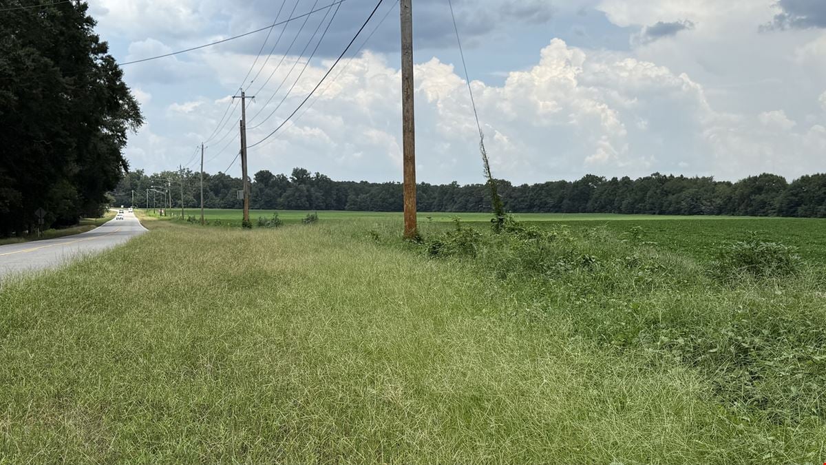 17.6-Acre Opportunity – Mixed-Use Zoning in Dothan, AL