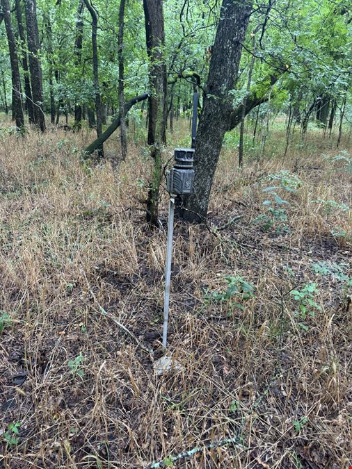 Highway 276 - 37.15 AC Hunting/Recreation Royse City