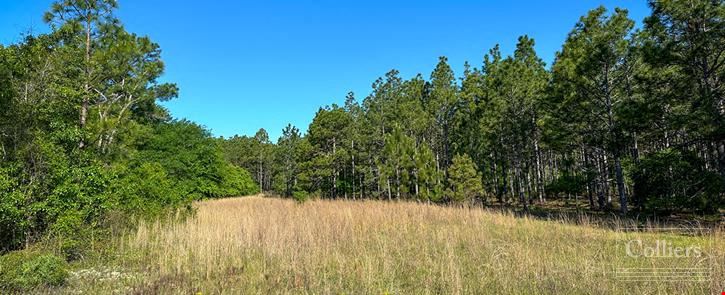 ±108-Acre Timber & Recreational Tract | Edmund, SC