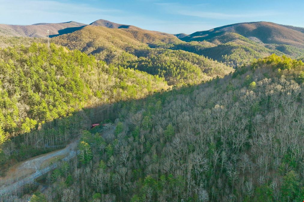 Prime Development Opportunity