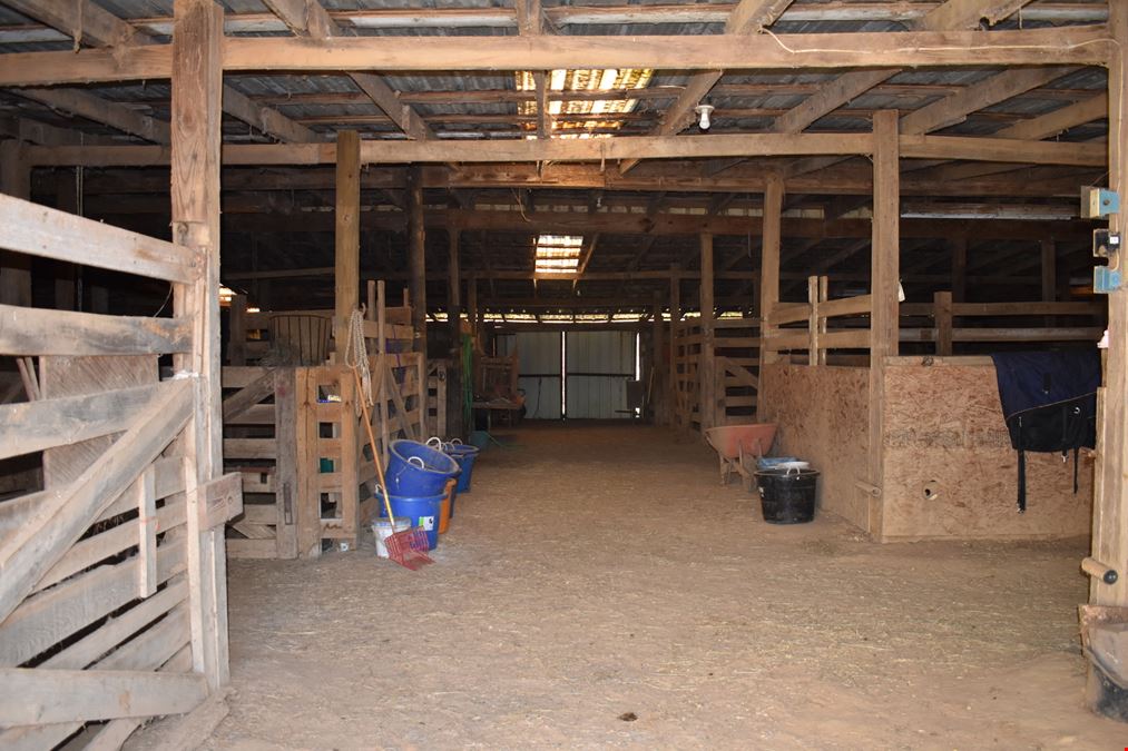 Saddlebrook Farm