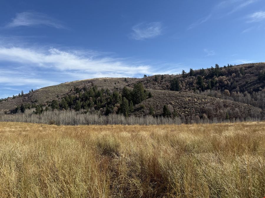 694.8 Acres TBD West Pocatello Creek Road