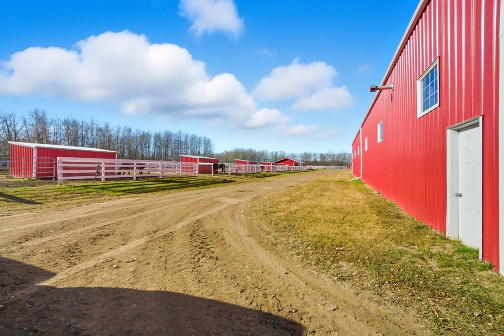 World-Class Equestrian in Central Alberta (Canada)