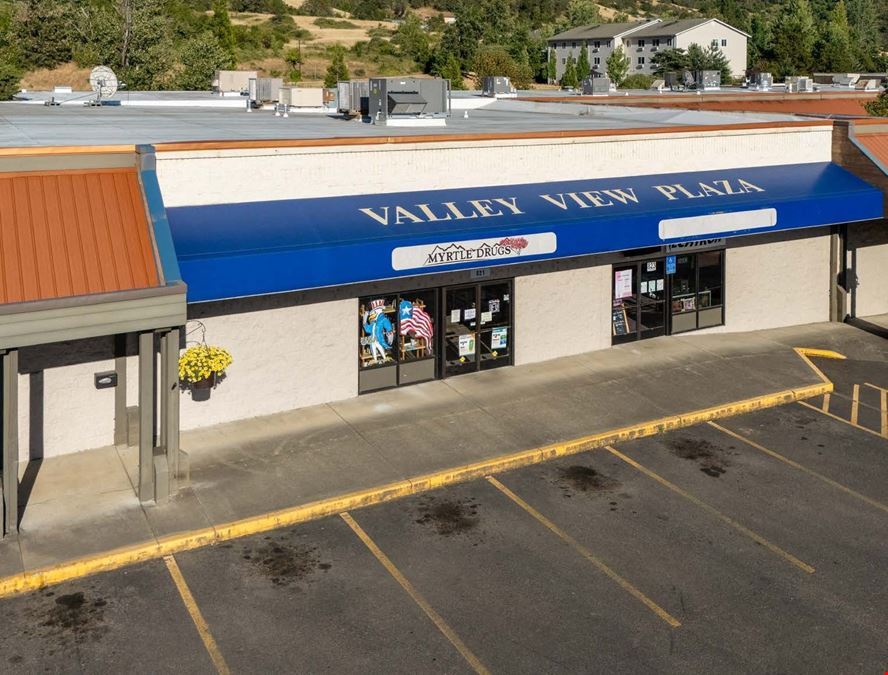 Valley View Plaza