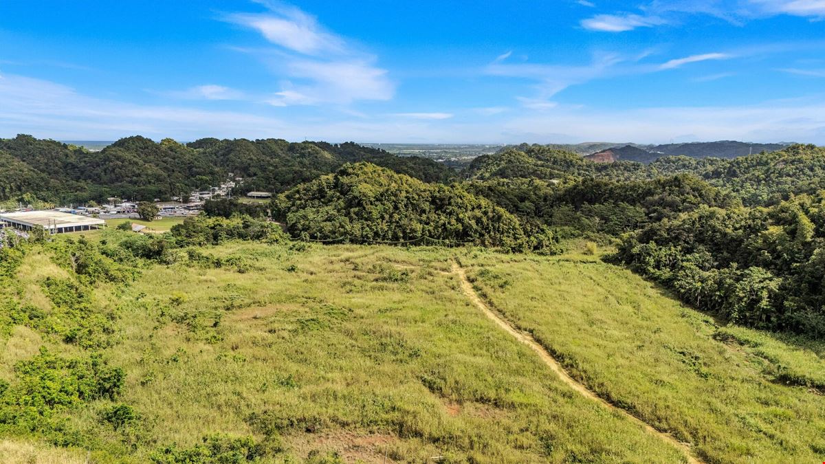 73 Developable Acres in Dorado - For Sale