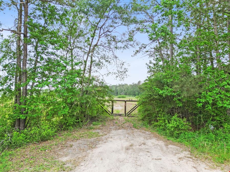 Expansive 23-Acre Tract on High-Traffic Hwy 105 – Prime Development Opportunity with Seller Financing Available