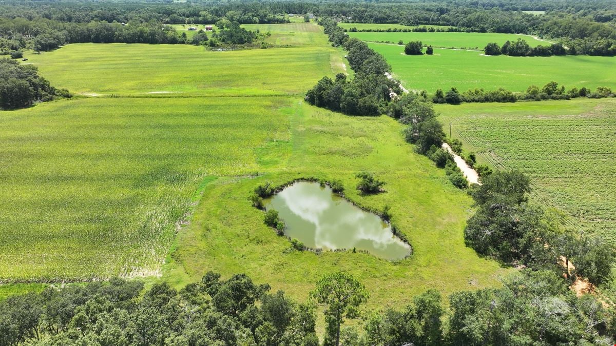 Graceville Duck Pond Farmland