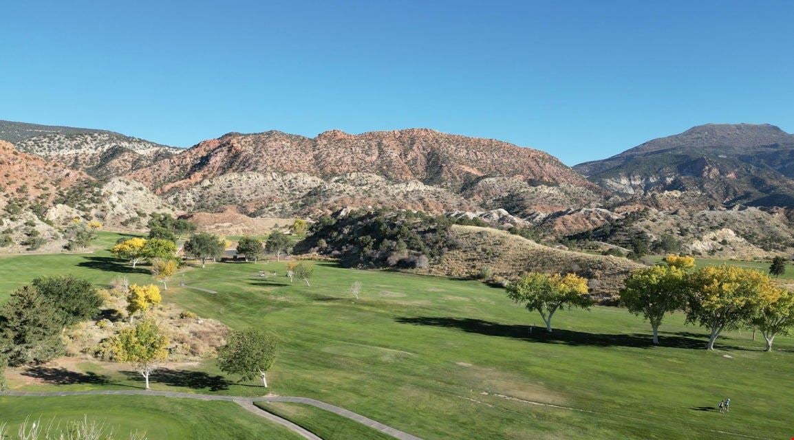 Cedar Peak LLC