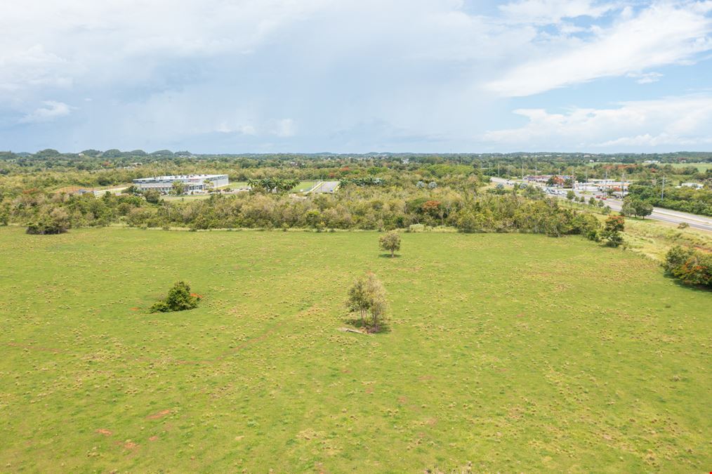 Moca Prime Industrial Land - For Sale