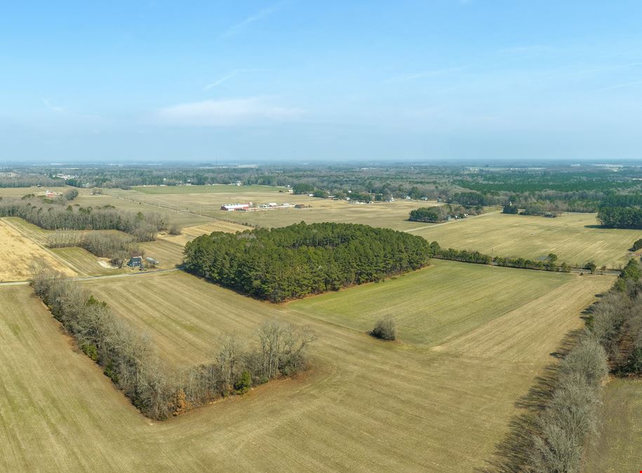 Delmar Agricultural 35.88+/- Acres