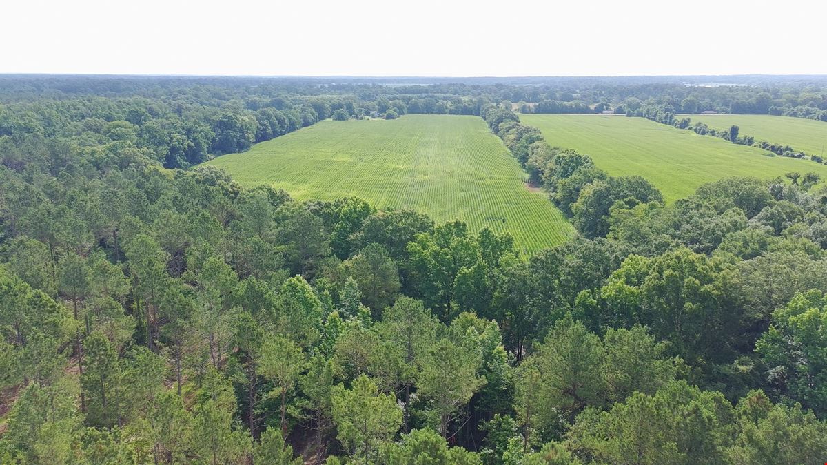 Circling Sky Aerodrome (43MS)