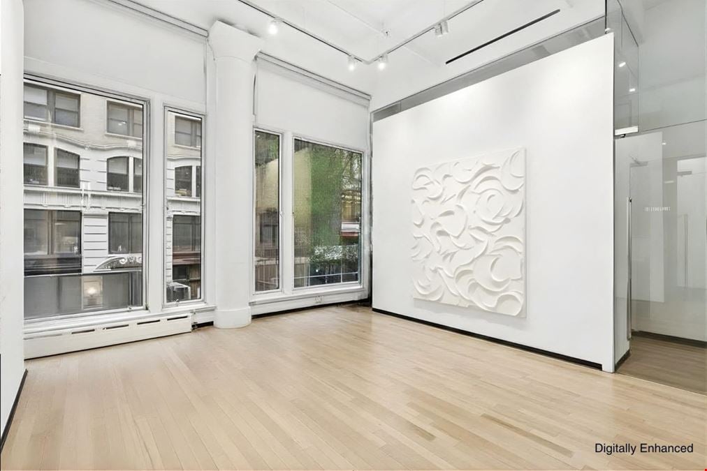 Commercial Condo for Sale, 25 E 21st St Unit #2