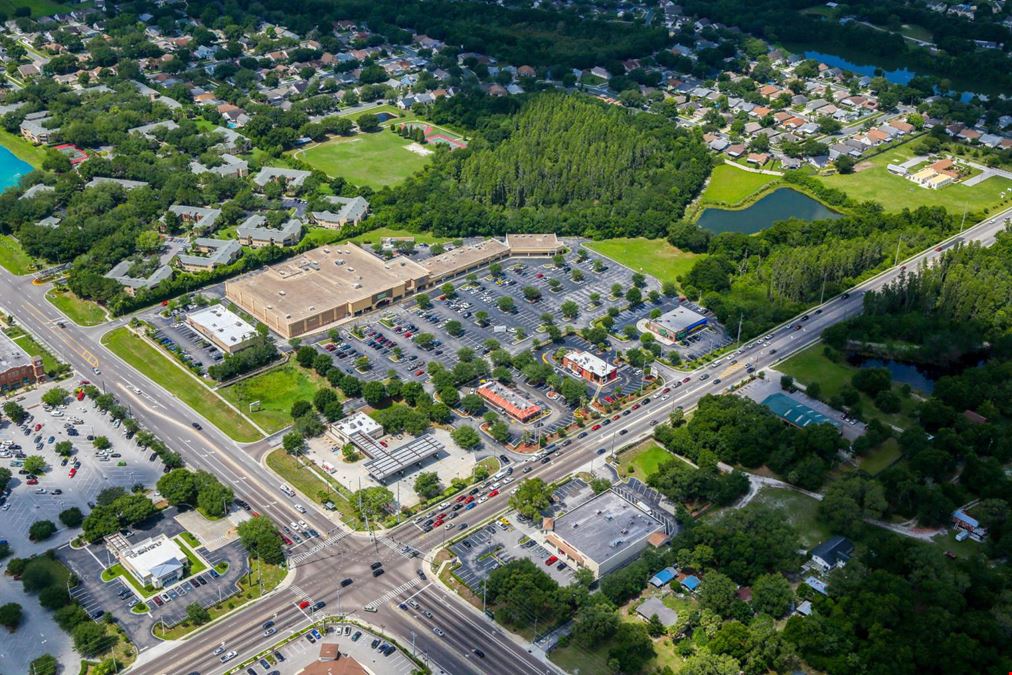 Bloomingdale Hills