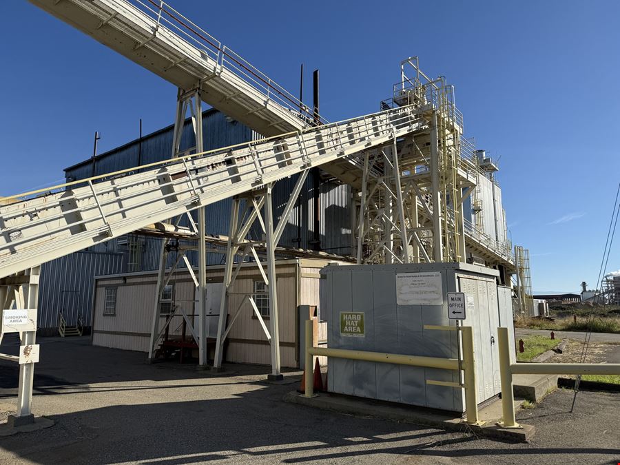 Biomass Co-Generation Plant: Grid Ready / Carbon-Negative Potential