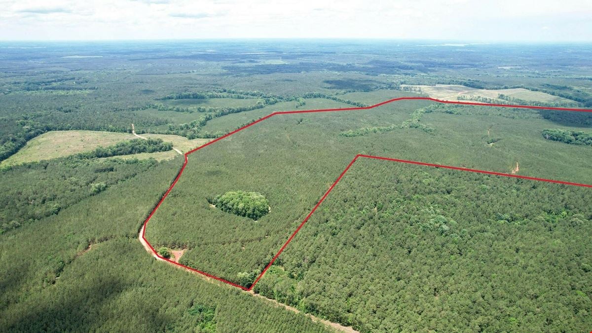 +/- 323 Acre Wooded Tract - Saluda County SC
