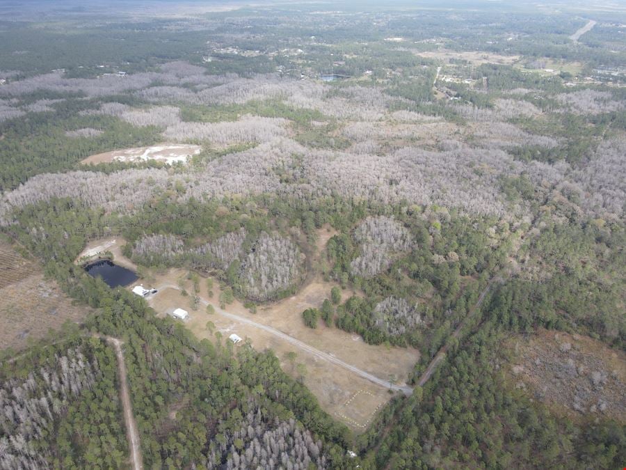 Tomoka Ranch - +/- 287 Acres Recreational Land