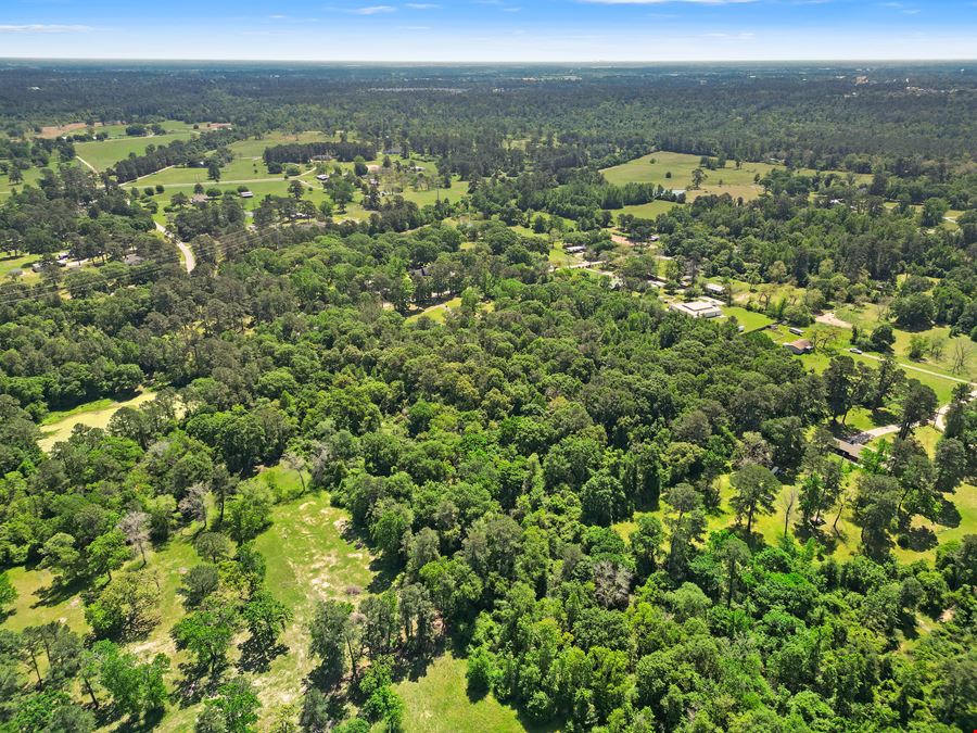 Spacious 9 Acre Tract in Magnolia, TX – Ideal for Residential, Commercial or Investment