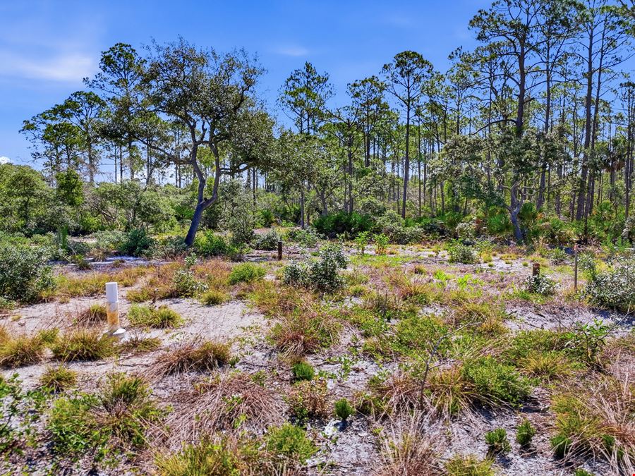 Cedar Key Land with Partial Infrastructure