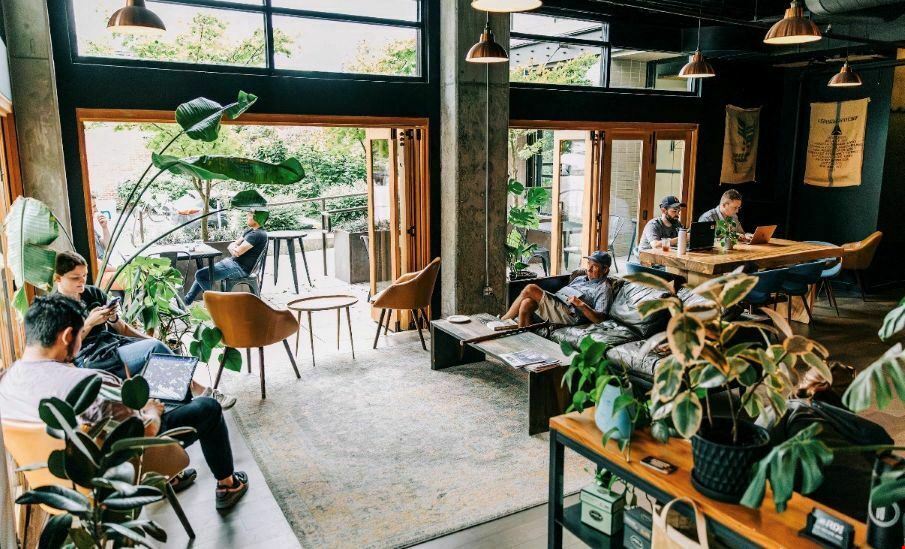 Armistice Coffee Co.