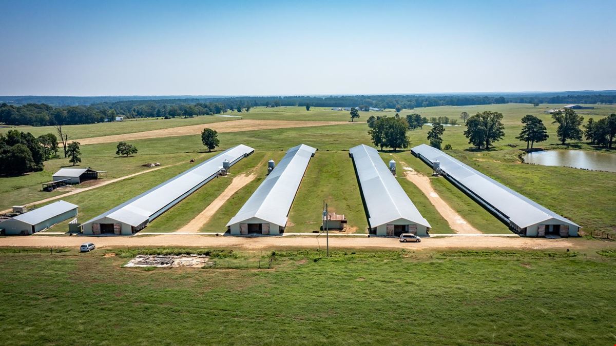 Hope Arkansas Chicken Farm