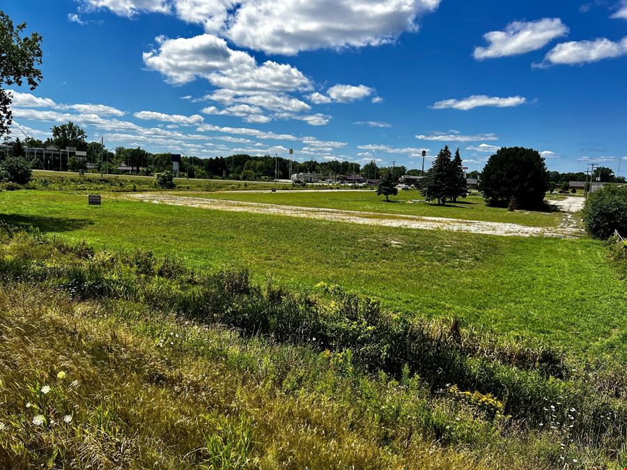 Buena Vista M-46 at I-75  Development Land