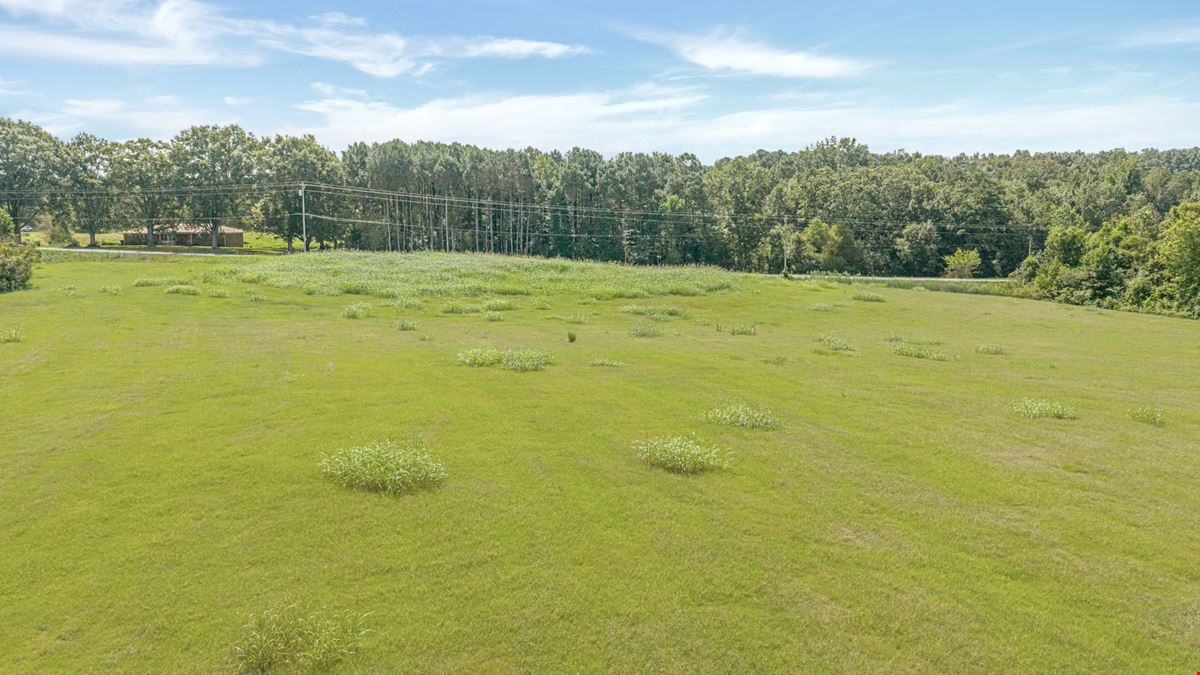 Henagar Investment Land 41 Acres