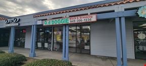 Dog Grooming Business